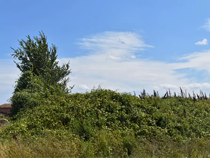 Immagine 7 di Terreno in vendita  in strada Molinara a Collecchio
