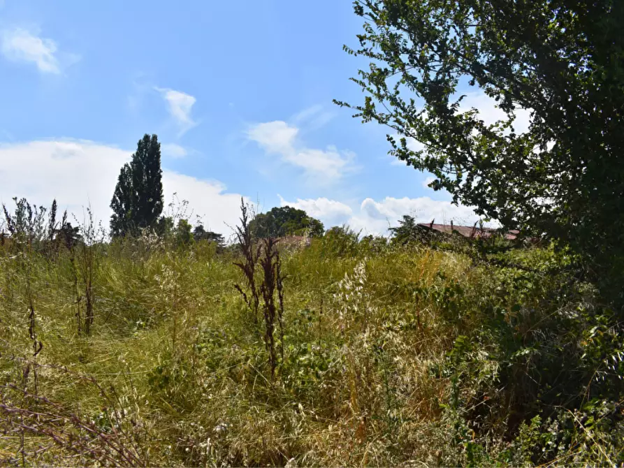 Immagine 8 di Terreno in vendita  in strada Molinara a Collecchio