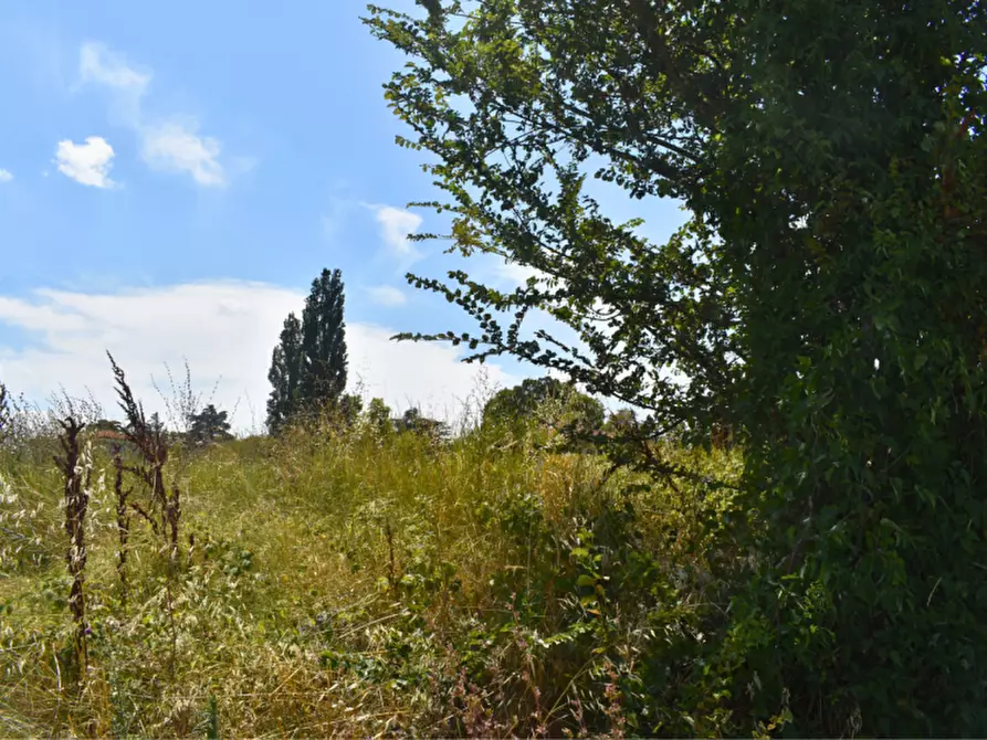 Immagine 11 di Terreno in vendita  in strada Molinara a Collecchio