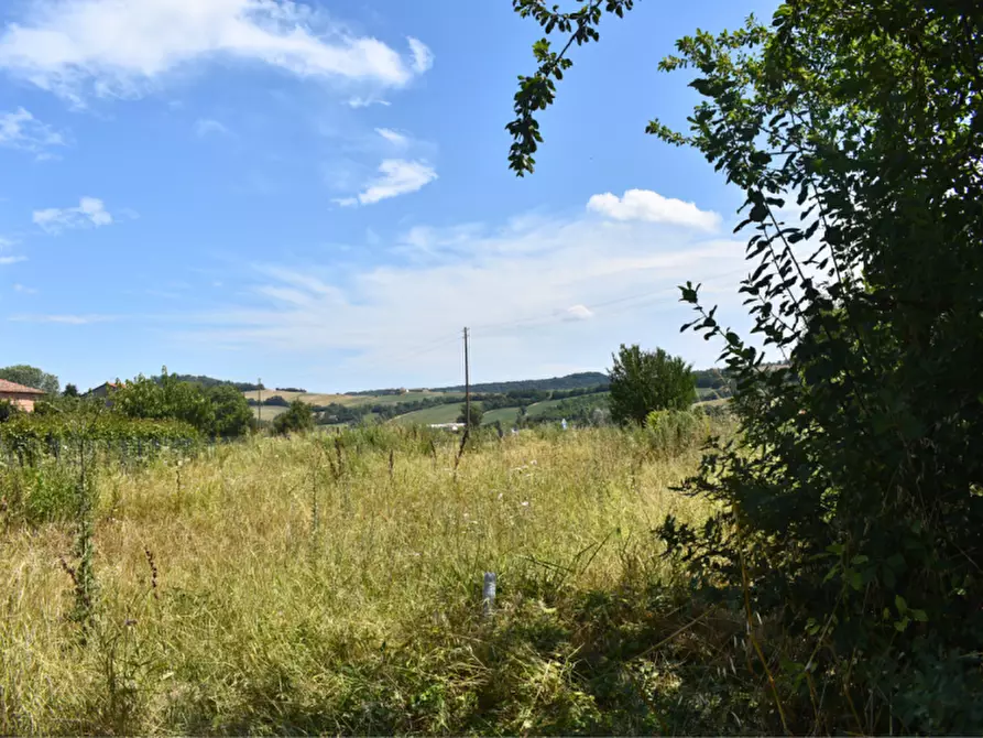 Immagine 13 di Terreno in vendita  in strada Molinara a Collecchio