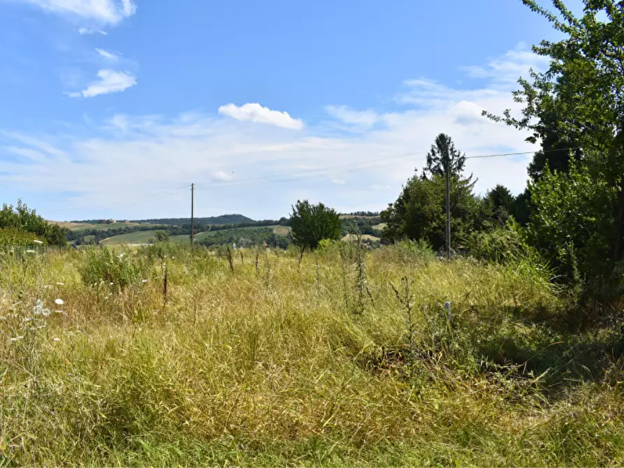 Immagine 14 di Terreno in vendita  in strada Molinara a Collecchio