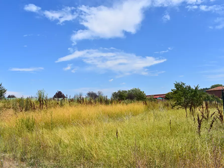 Immagine 15 di Terreno in vendita  in strada Molinara a Collecchio