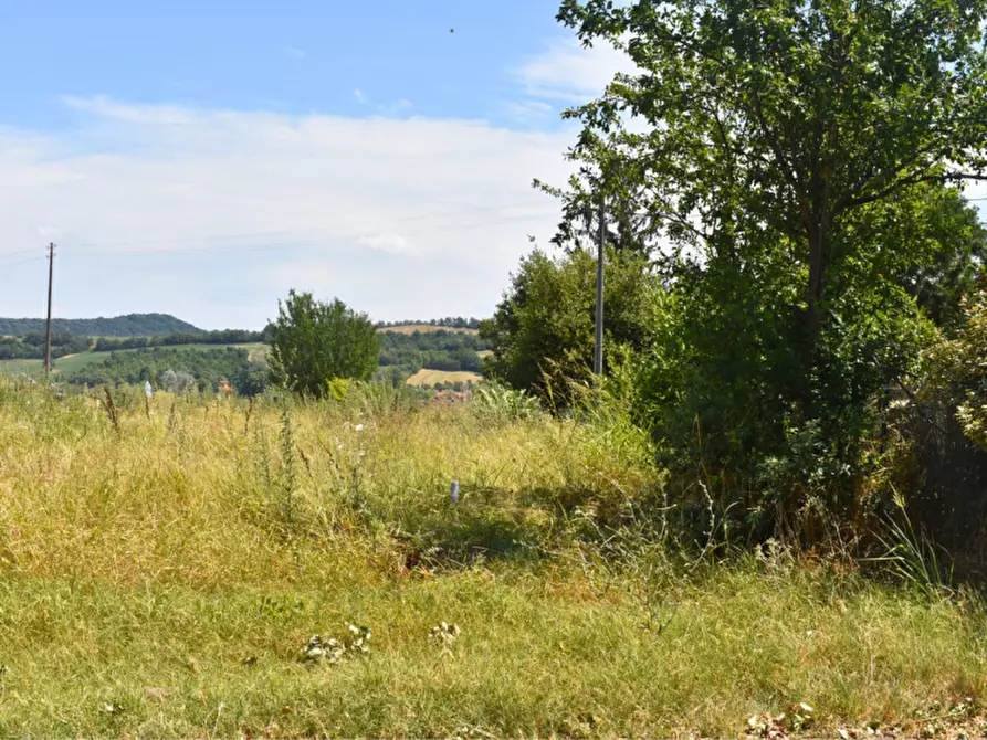 Immagine 17 di Terreno in vendita  in strada Molinara a Collecchio