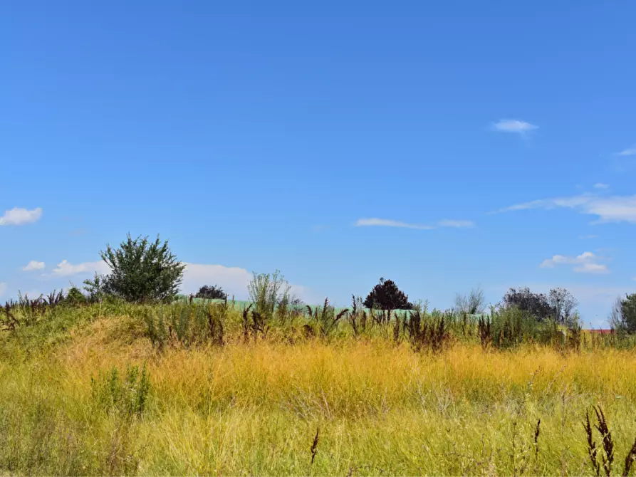 Immagine 18 di Terreno in vendita  in strada Molinara a Collecchio