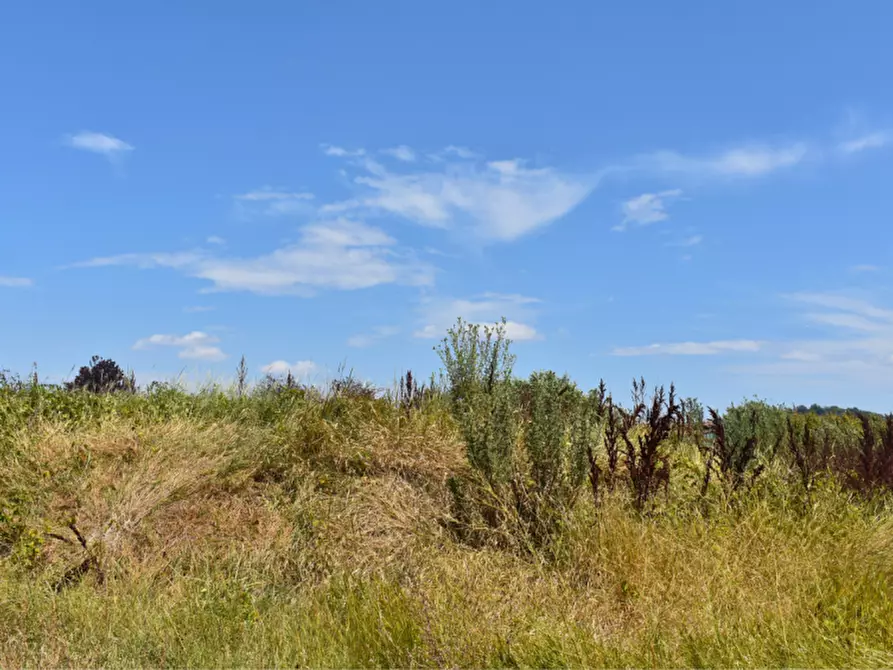 Immagine 20 di Terreno in vendita  in strada Molinara a Collecchio