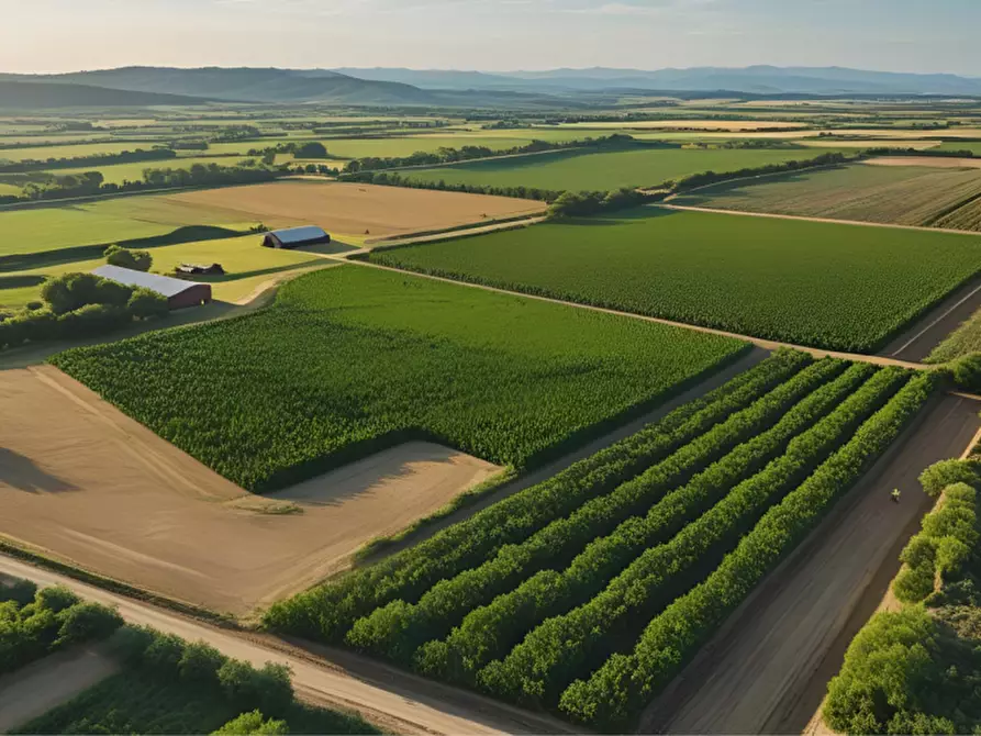 Immagine 23 di Terreno in vendita  in strada Molinara a Collecchio