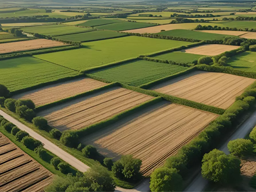 Immagine 26 di Terreno in vendita  in strada Molinara a Collecchio