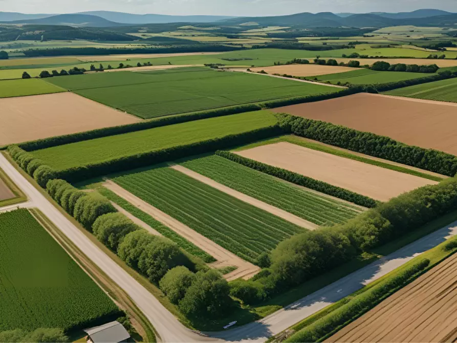 Immagine 27 di Terreno in vendita  in strada Molinara a Collecchio
