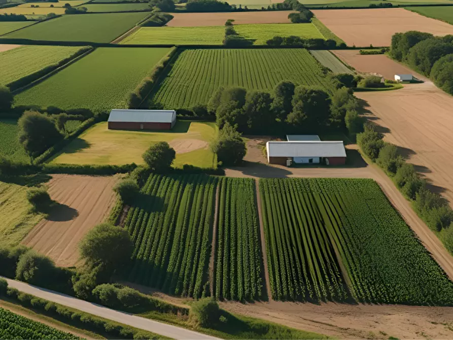 Immagine 28 di Terreno in vendita  in strada Molinara a Collecchio