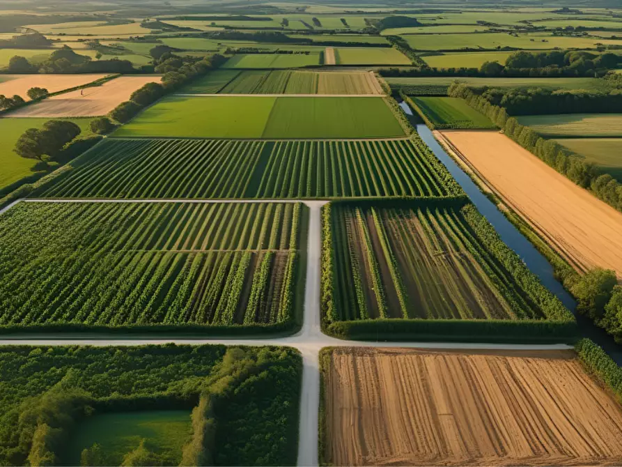Immagine 29 di Terreno in vendita  in strada Molinara a Collecchio