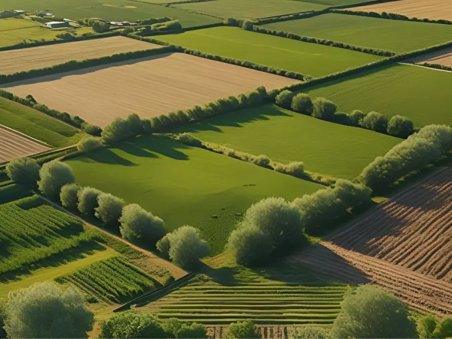 Immagine 30 di Terreno in vendita  in strada Molinara a Collecchio