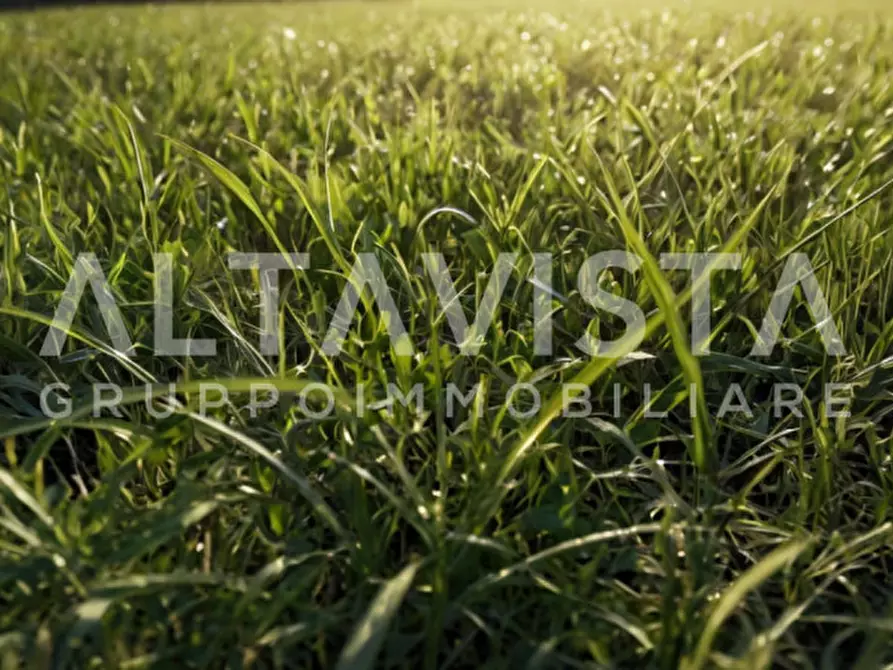 Immagine 3 di Terreno in vendita  in Via Bussago a Bedizzole