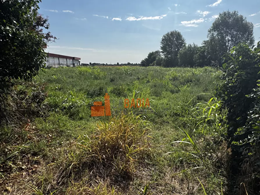 Immagine 13 di Casa indipendente in vendita  in Via Gorghi 416 a Canda