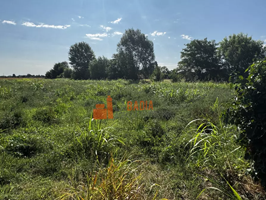 Immagine 21 di Casa indipendente in vendita  in Via Gorghi 416 a Canda