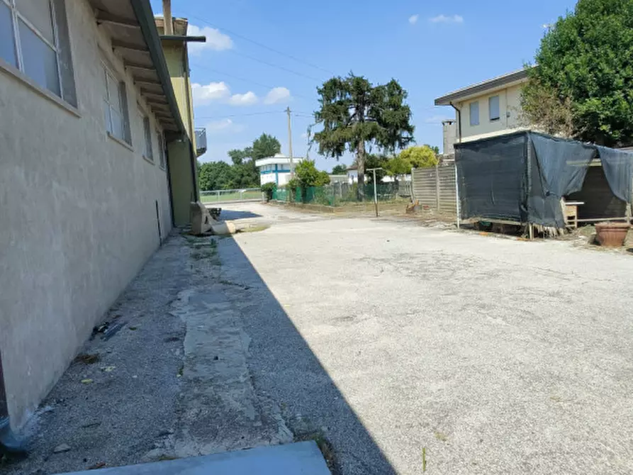 Immagine 7 di Magazzino in vendita  in Via Martiri di Belfiore a Rovigo
