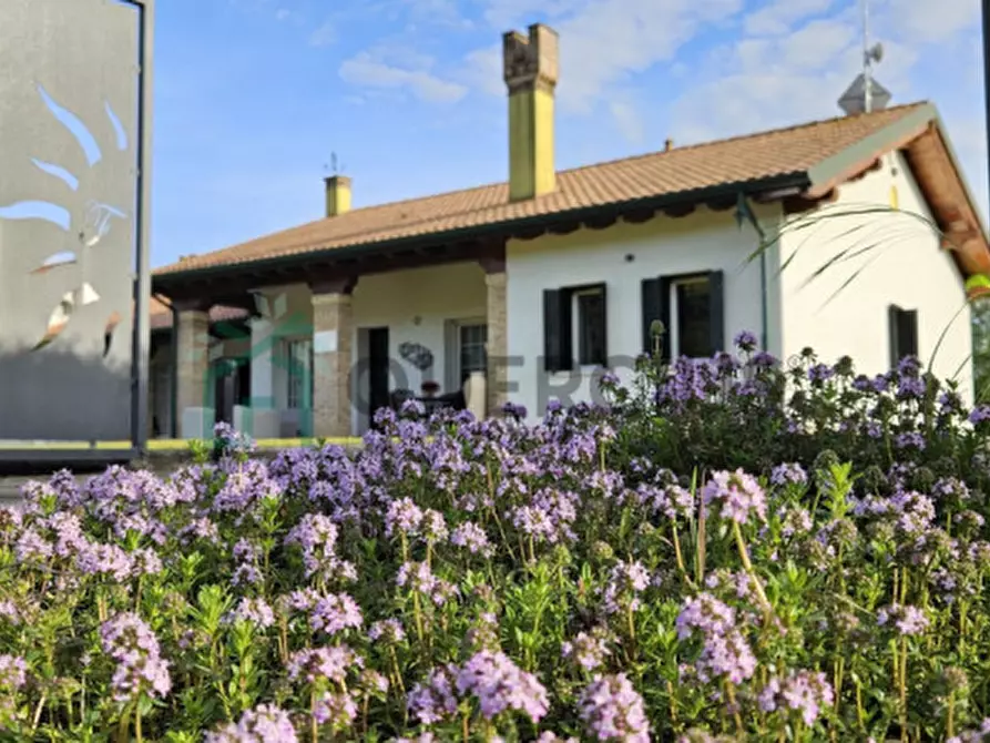 Immagine 3 di Casa bifamiliare in vendita  in Via Fossà a San Donà Di Piave