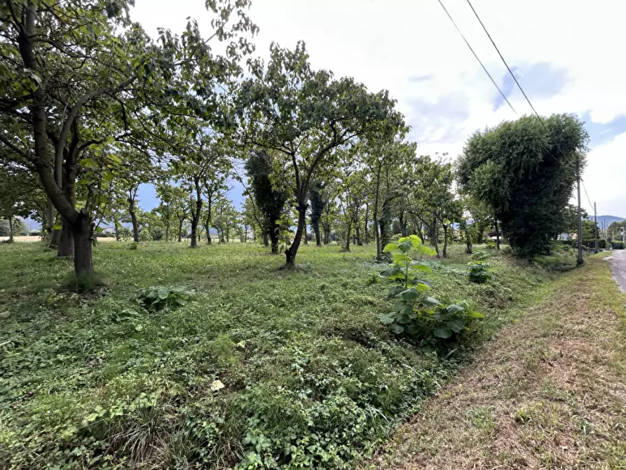 Immagine 7 di Terreno in vendita  in via Monte Venda a Torreglia