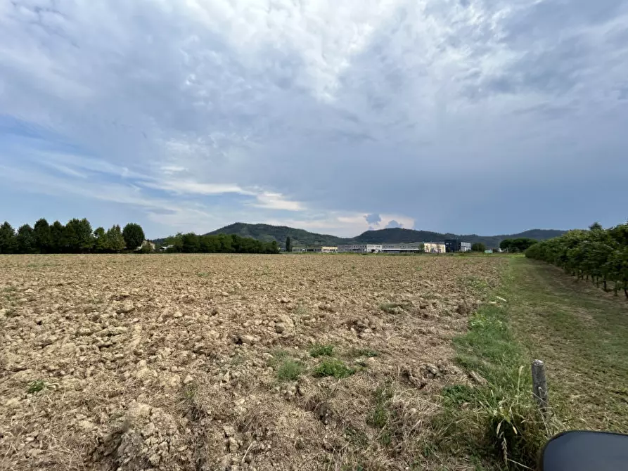 Immagine 17 di Terreno in vendita  in via Monte Venda a Torreglia