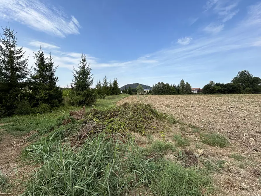 Immagine 2 di Terreno in vendita  in via Monte Venda a Torreglia