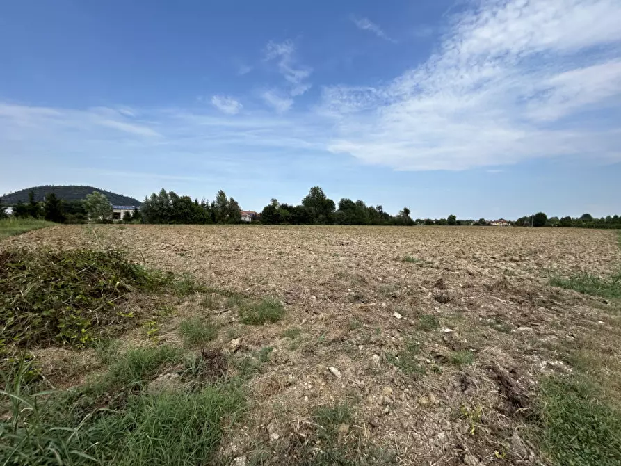 Immagine 4 di Terreno in vendita  in via Monte Venda a Torreglia