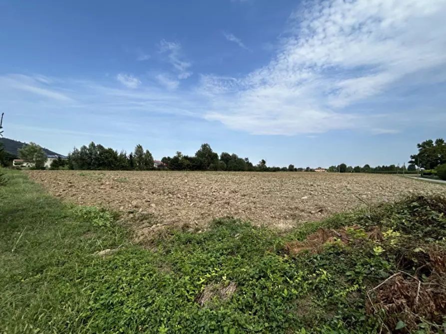 Immagine 5 di Terreno in vendita  in via Monte Venda a Torreglia