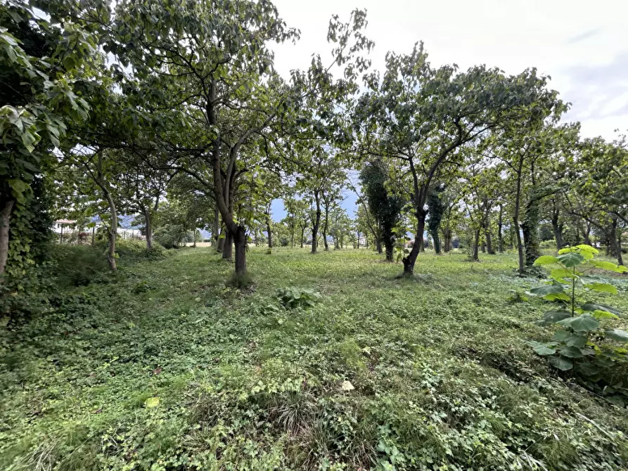 Immagine 9 di Terreno in vendita  in via Monte Venda a Torreglia