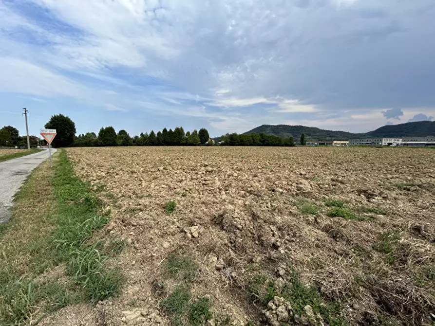 Immagine 19 di Terreno in vendita  in via Monte Venda a Torreglia