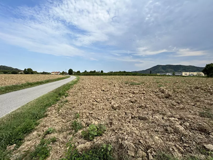 Immagine 20 di Terreno in vendita  in via Monte Venda a Torreglia