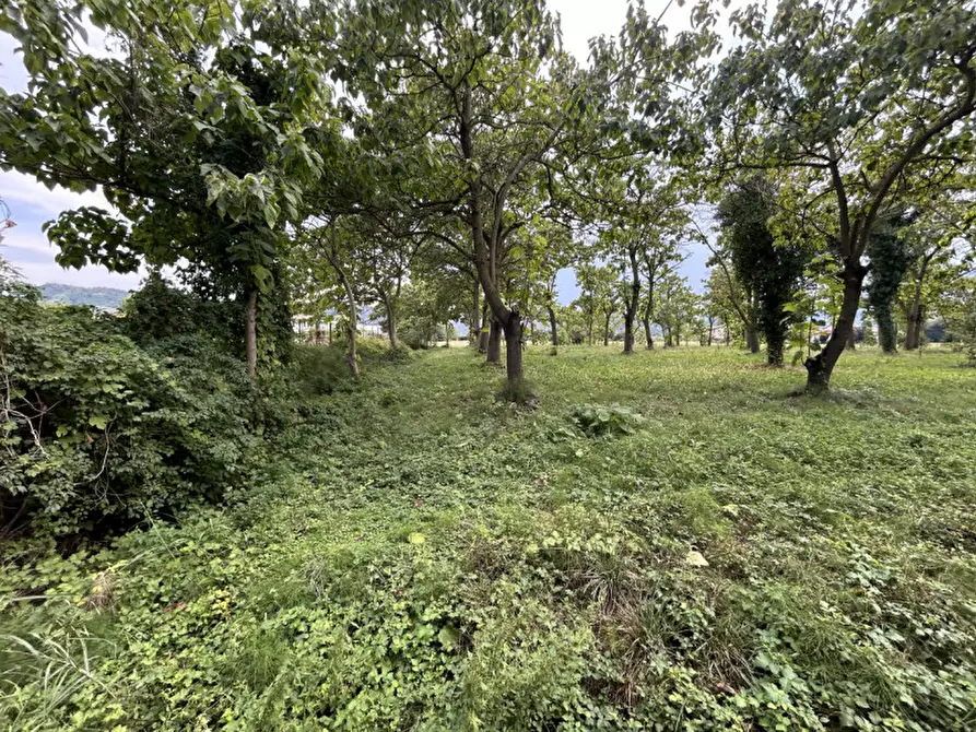 Immagine 9 di Terreno in vendita  in via Monte Venda a Torreglia