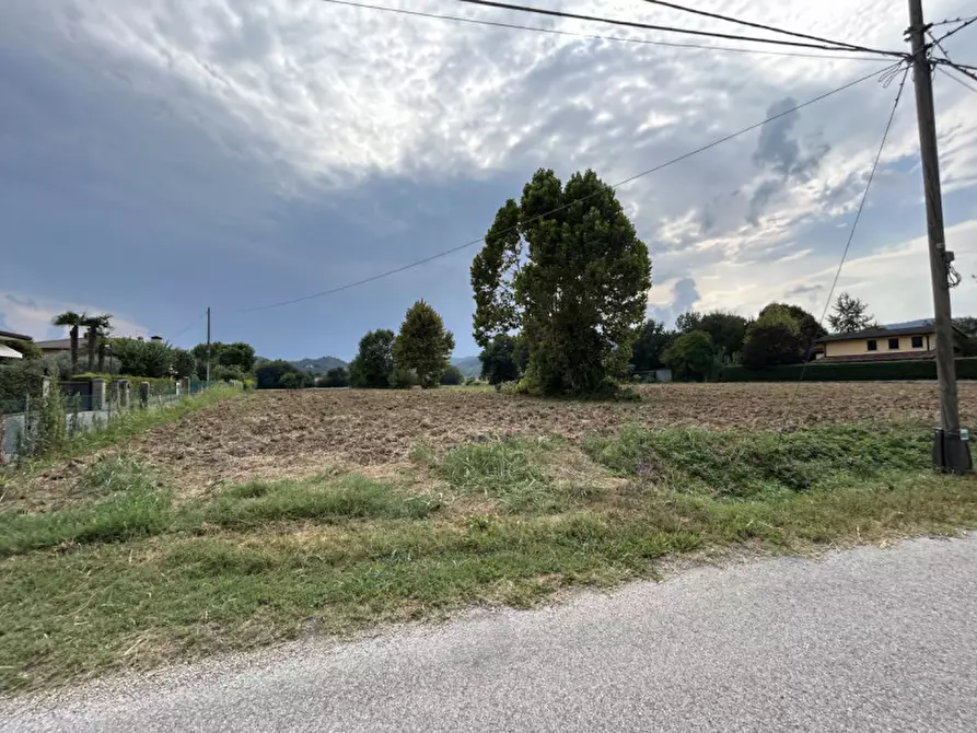 Immagine 14 di Terreno in vendita  in via Monte Venda a Torreglia