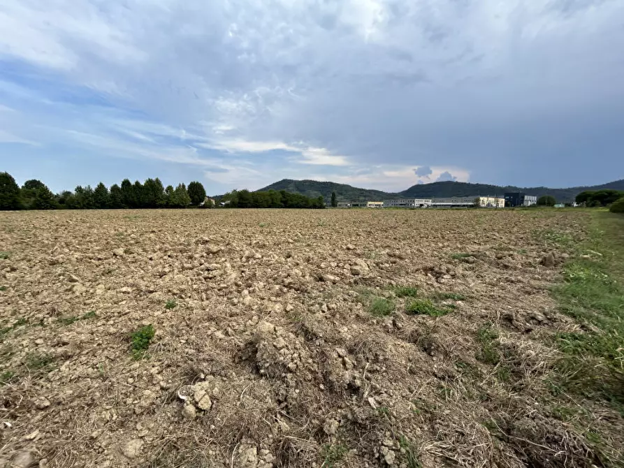 Immagine 15 di Terreno in vendita  in via Monte Venda a Torreglia