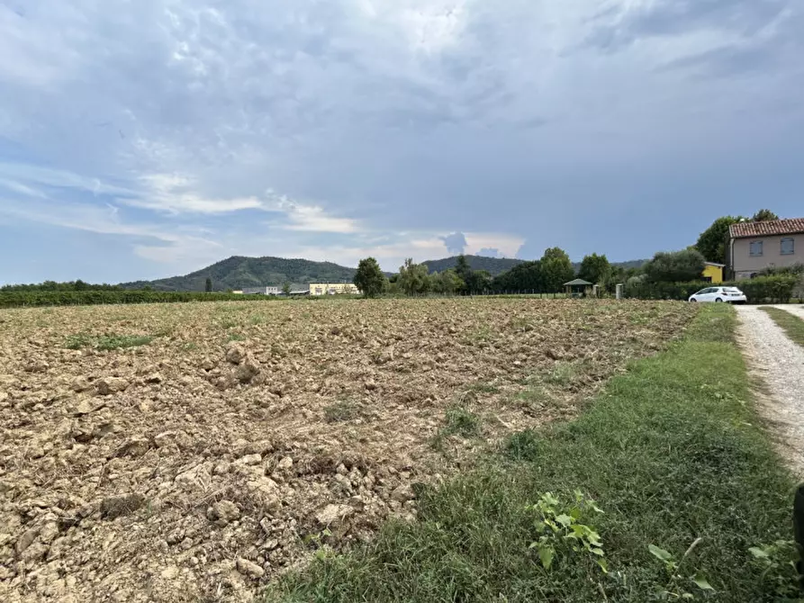 Immagine 19 di Terreno in vendita  in via Monte Venda a Torreglia