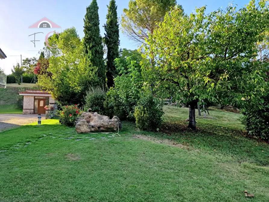 Immagine 3 di Villa in vendita  in località campigliano snc a Rivodutri