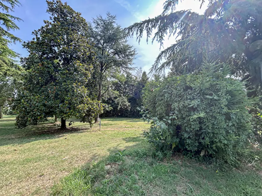 Immagine 71 di Villa in vendita  in Via Verona a Vigasio