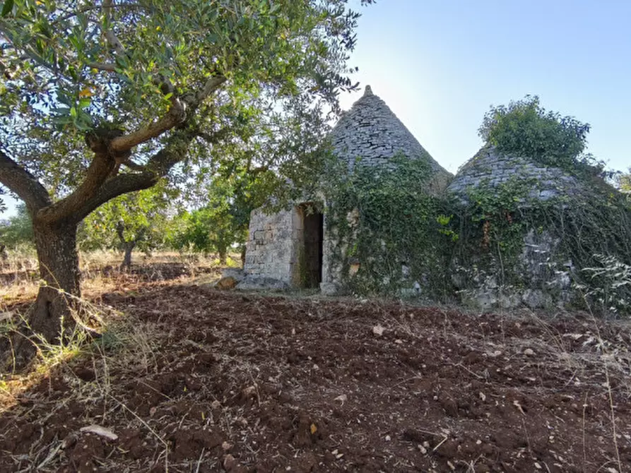 Immagine 2 di Rustico / casale in vendita  in San Marco a Locorotondo