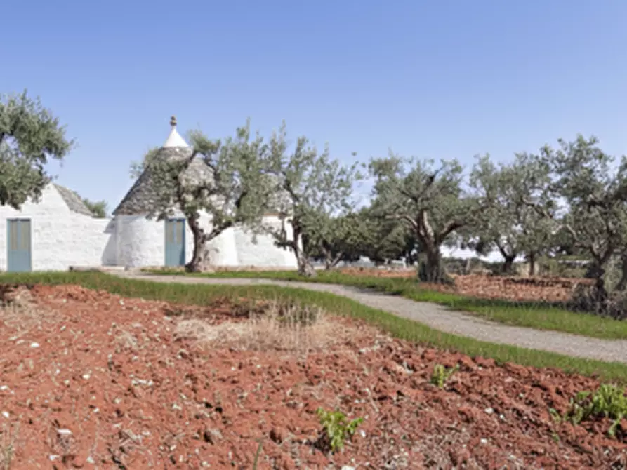 Immagine 4 di Rustico / casale in vendita  in San Marco a Locorotondo