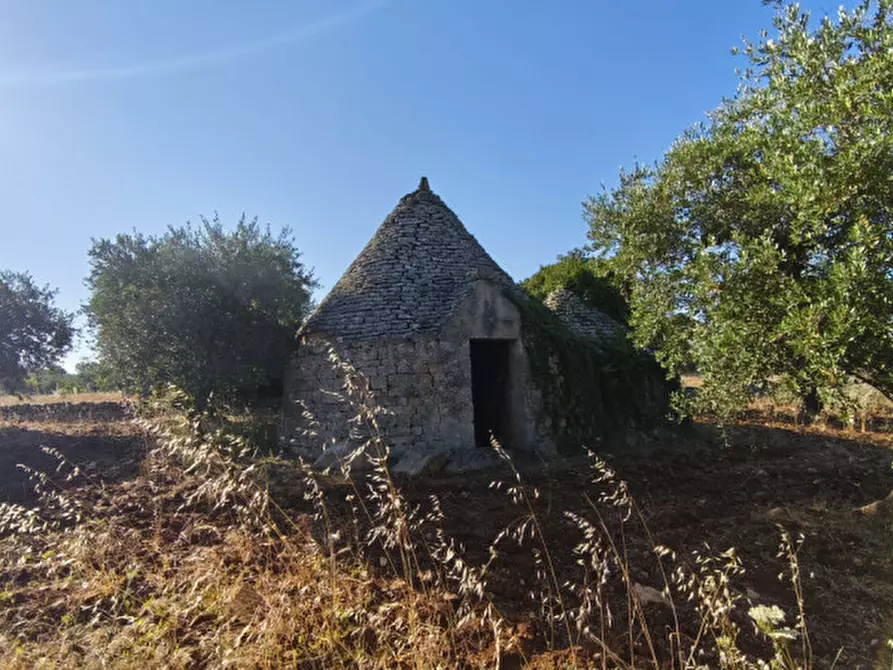 Immagine 6 di Rustico / casale in vendita  in San Marco a Locorotondo