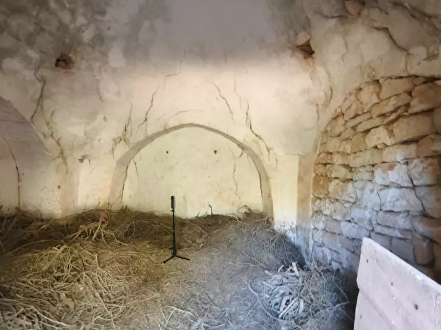 Immagine 7 di Rustico / casale in vendita  in San Marco a Locorotondo