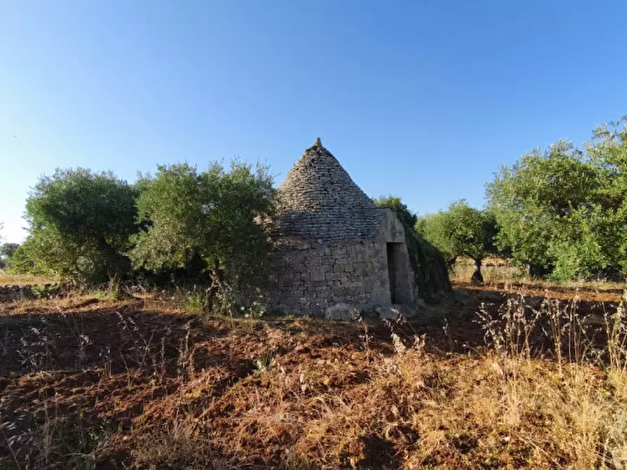 Immagine 8 di Rustico / casale in vendita  in San Marco a Locorotondo