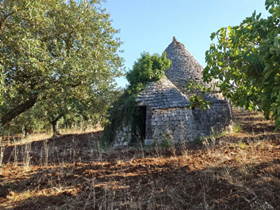Immagine 9 di Rustico / casale in vendita  in San Marco a Locorotondo