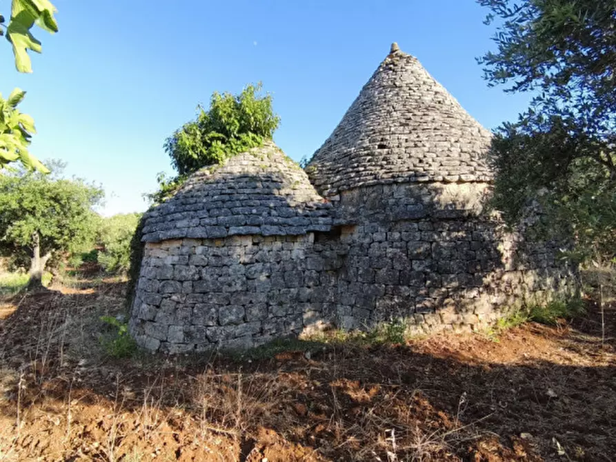 Immagine 11 di Rustico / casale in vendita  in San Marco a Locorotondo