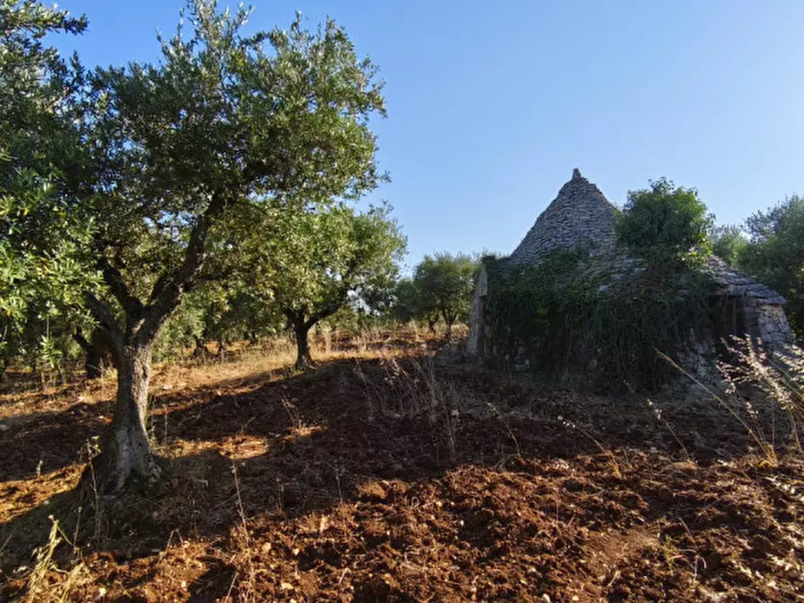 Immagine 12 di Rustico / casale in vendita  in San Marco a Locorotondo
