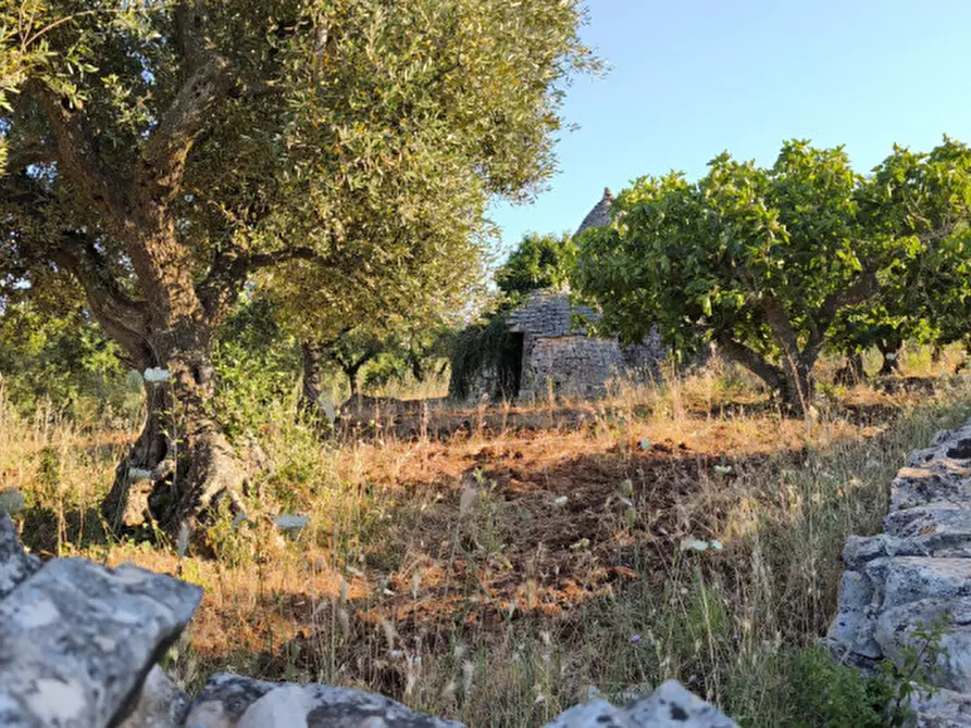 Immagine 13 di Rustico / casale in vendita  in San Marco a Locorotondo