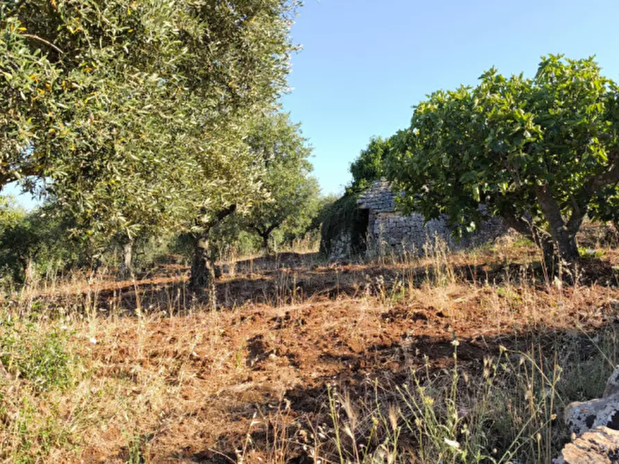 Immagine 14 di Rustico / casale in vendita  in San Marco a Locorotondo