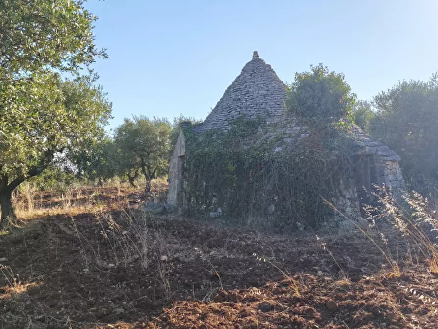 Immagine 15 di Rustico / casale in vendita  in San Marco a Locorotondo