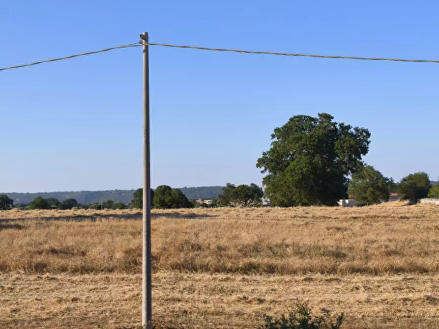 Immagine 17 di Rustico / casale in vendita  in San Marco a Locorotondo