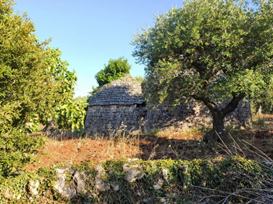 Immagine 18 di Rustico / casale in vendita  in San Marco a Locorotondo