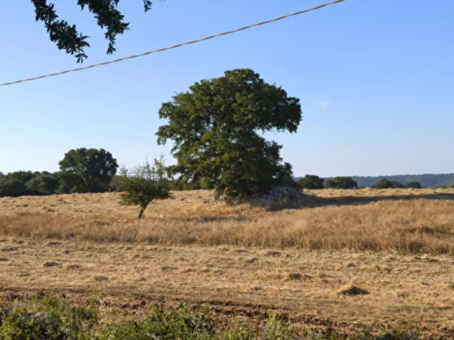 Immagine 19 di Rustico / casale in vendita  in San Marco a Locorotondo