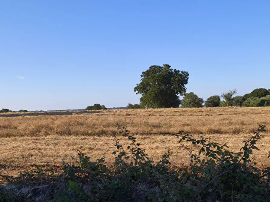 Immagine 20 di Rustico / casale in vendita  in San Marco a Locorotondo