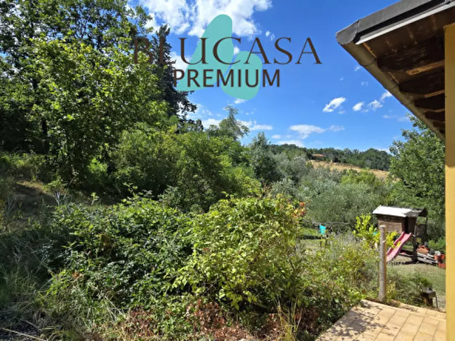 Immagine 41 di Casa indipendente in vendita  in Strada di Dogheria a Meldola